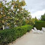 Byzantium Gardens - Green